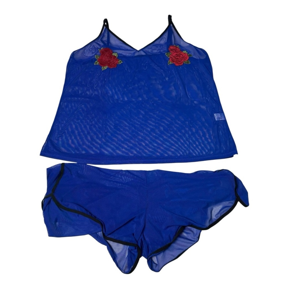 Blue Sheer Lingerie Set with Floral Embroidery in 5x